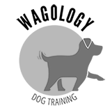 Logo-Design-Wagology